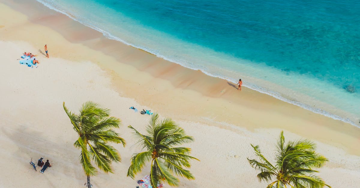 Découvrez les dangers liés à la baignade à Zanzibar, ainsi que des conseils de prévention et les mesures essentielles à adopter pour profiter de la mer en toute sécurité.