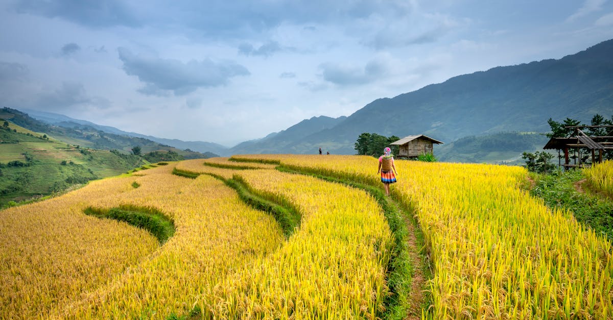 Découvrez mon avis complet sur Hoi An, ses charmes, ses attractions incontournables et conseils pour une visite inoubliable.