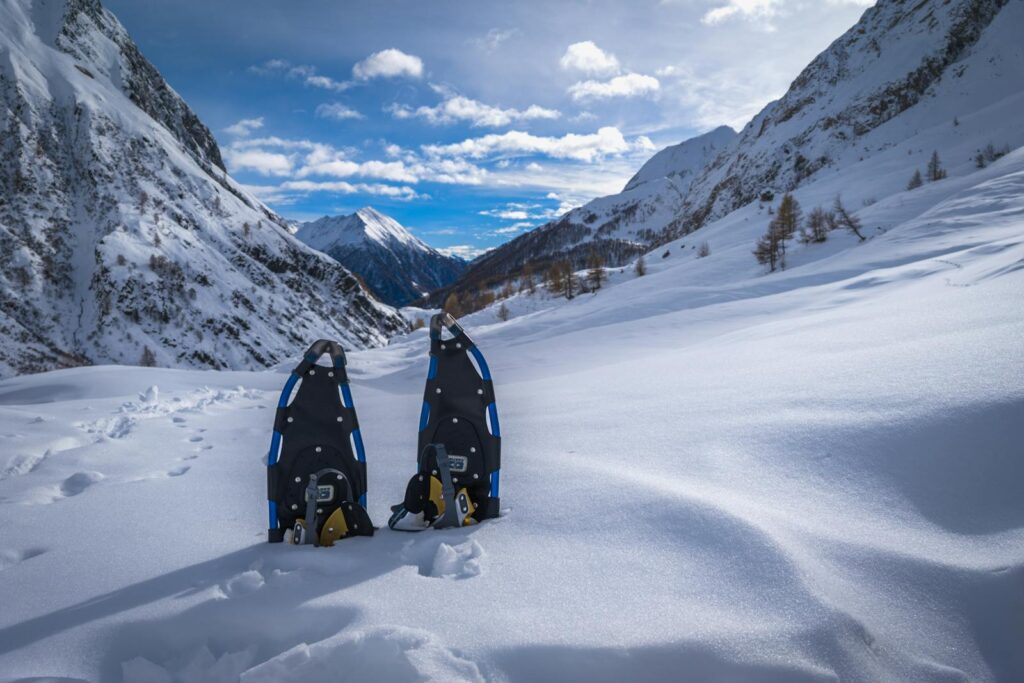 Deux raquettes à neige sur un sentier enneigé